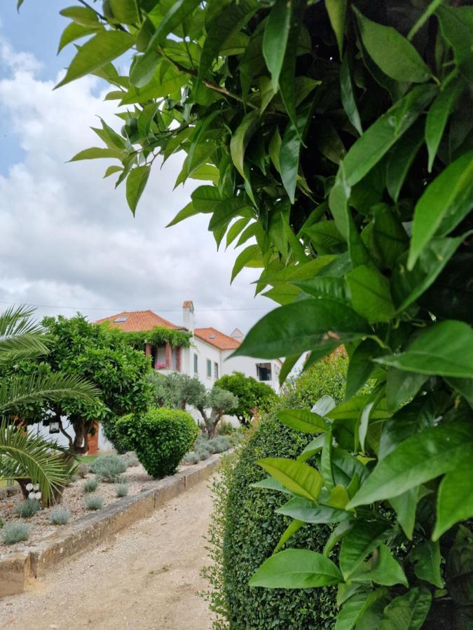 Casa Nikana Turcifal Exterior photo